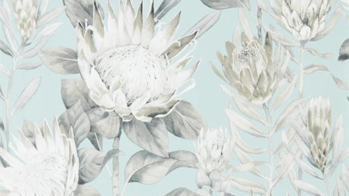 King Protea 216645